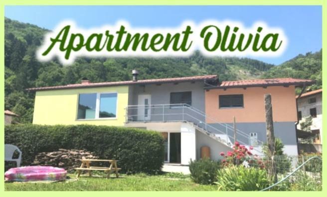 Apartment Olivia Ciginj Exterior foto